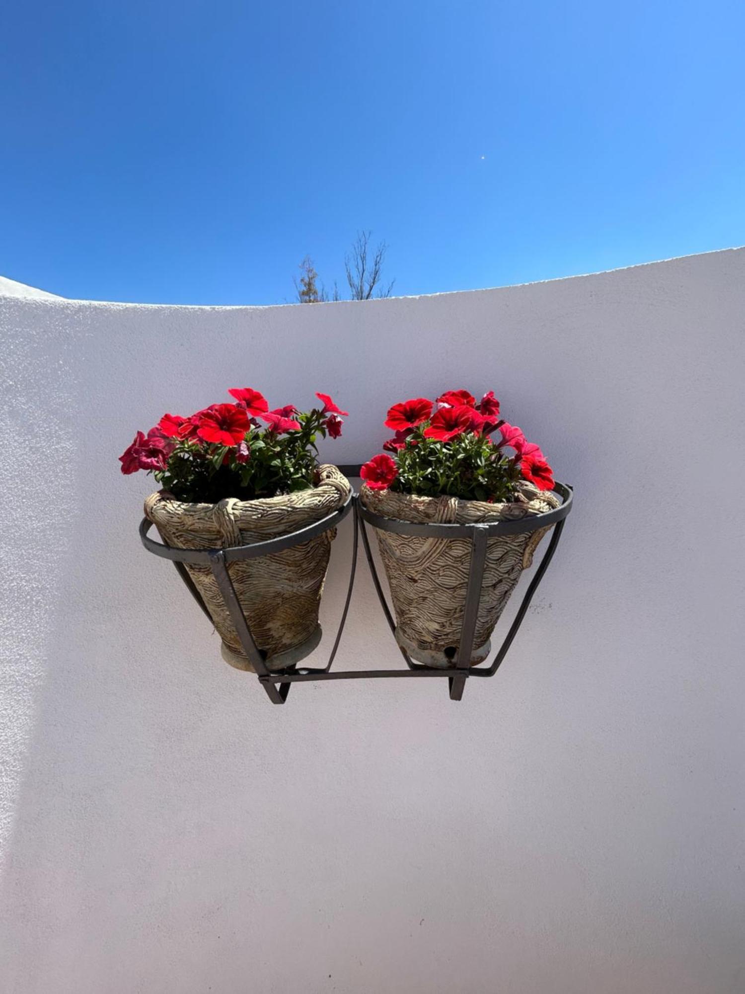 La Casa Di Pippo Flora Bed and Breakfast Αγκριτζέντο Εξωτερικό φωτογραφία